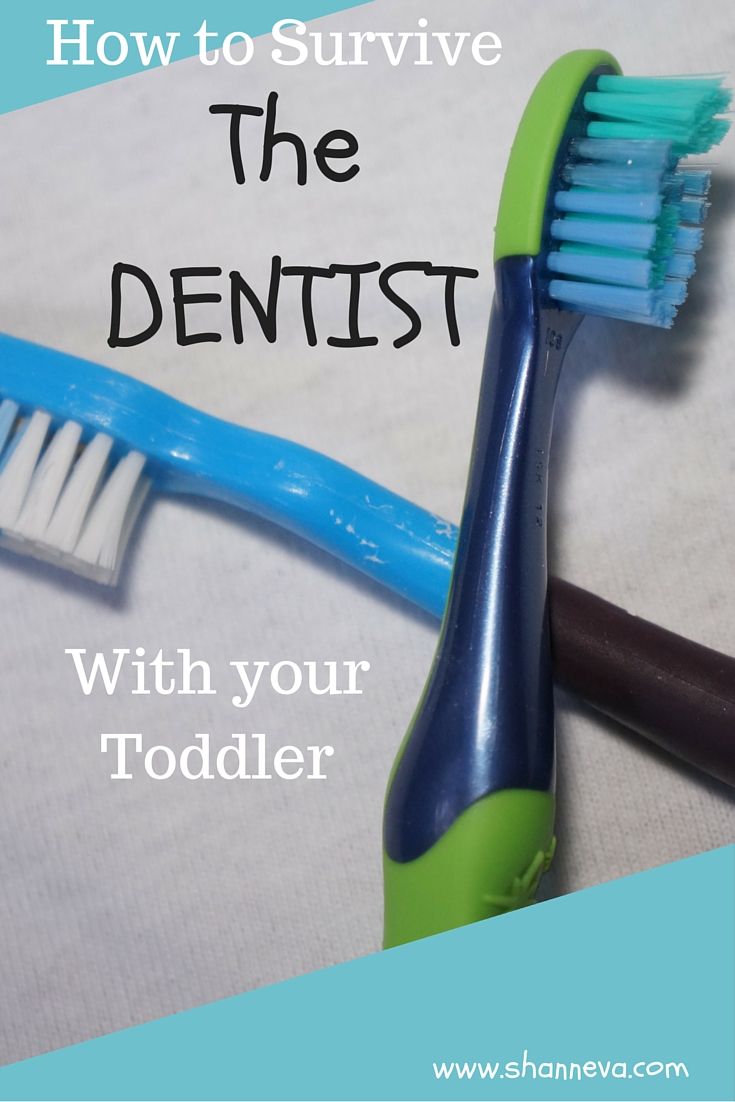 Dentist with Toddlers