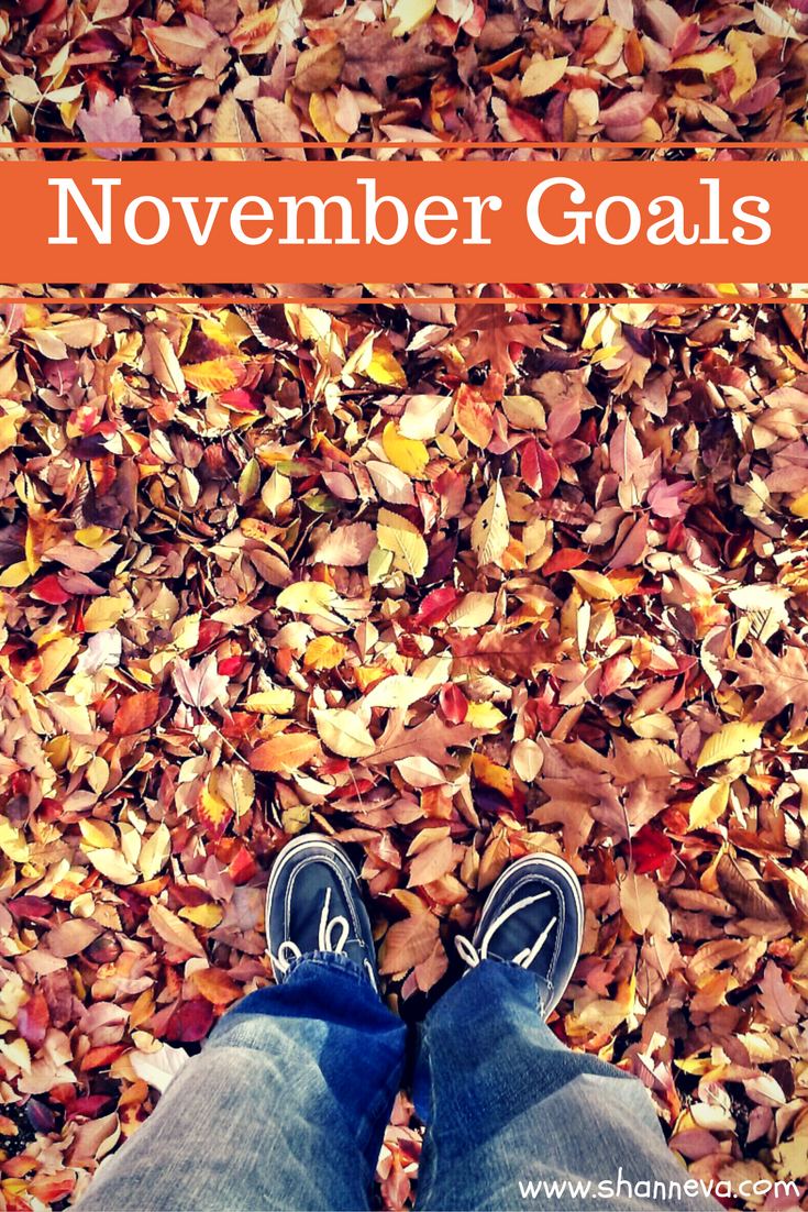 A look at my goals for November 2016. Keep yourself accountable by writing out your goals for the month.