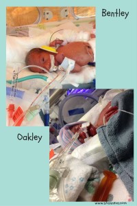 Identical Twins Bentley and Oakley - Shann Eva's Blog