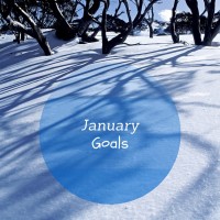 january goals mid month