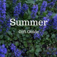 summer gift guide