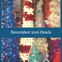 Goals for December 2016