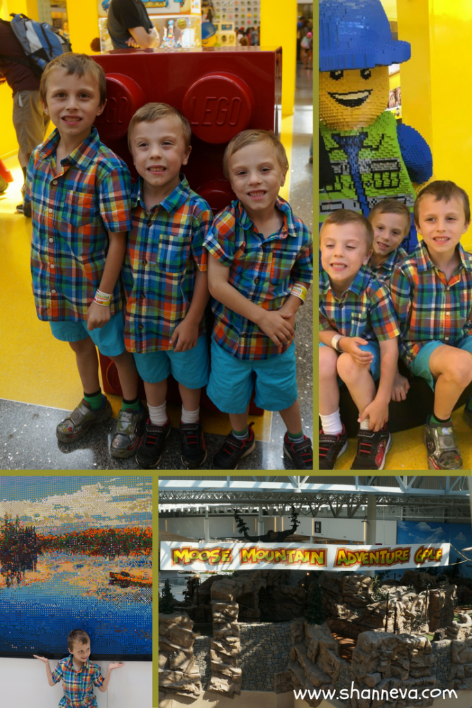 The Mall of America: Fun for Everyone! - Shann Eva's Blog