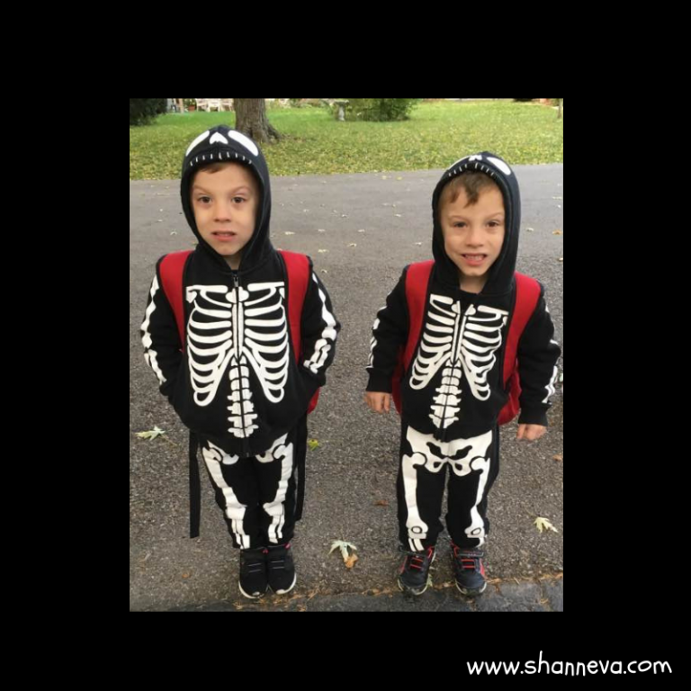 Easy, Family Friendly Costumes for Halloween - Shann Eva's Blog